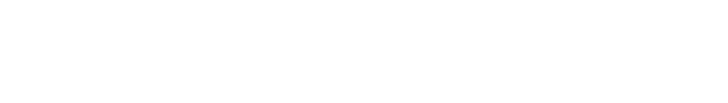 Voicebridge